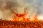 ۸۰ هکتار از مزارع گندم و جو کرمانشاه در آتش سوخت