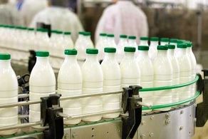 سرانه مصرف لبنیات با توزیع شیر مدارس ۴ درصد افزایش می‌یابد