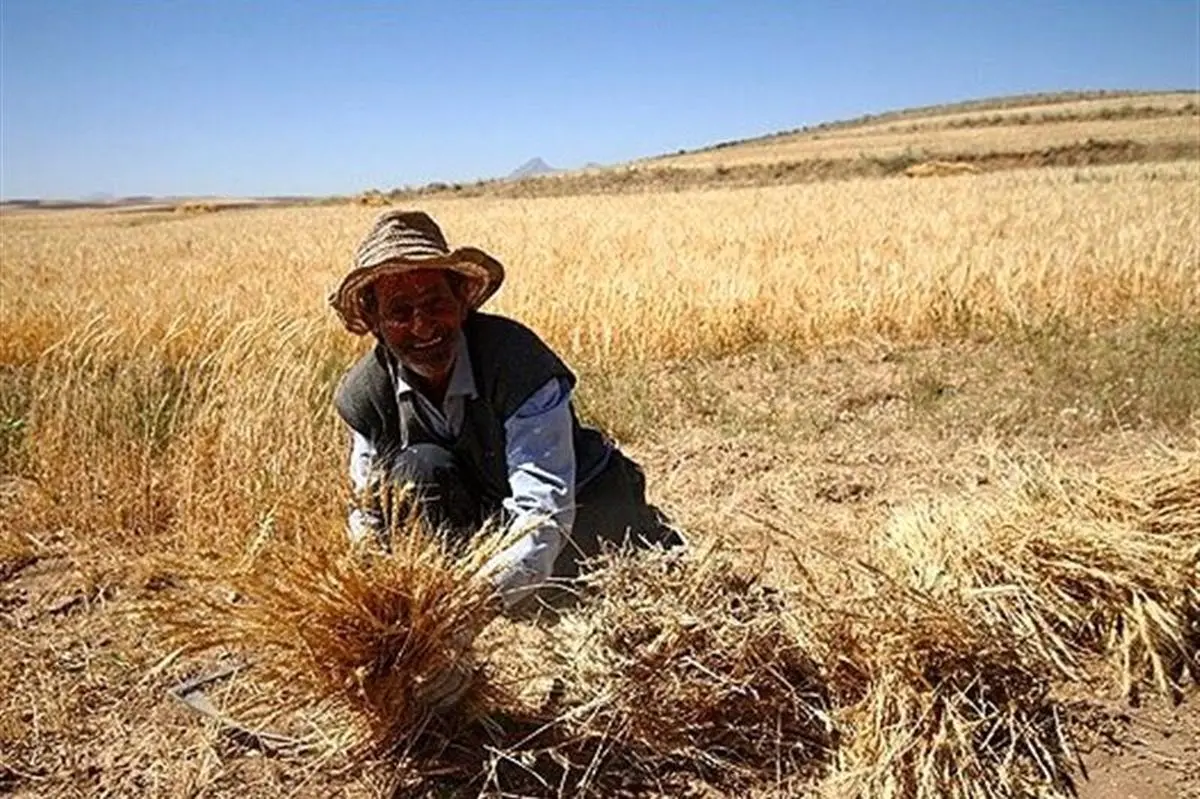  ۲ میلیون و ۲۰۰ هزار روستایی تحت پوشش بیمه اجتماعی قرار گرفتند