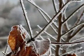 این منطقه برفی می‌شود 