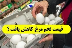 تخم مرغ ارزان می ‌شود؛ عجیب اما واقعی!