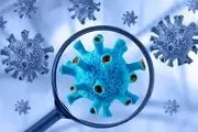 از بین‌بردن ویروس کرونا با افزودن نانوذرات مس به برخی پلیمرها