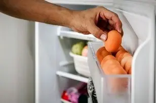 اگر هر روز تخم مرغ مصرف می کنید این مطلب را حتما بخوانید!