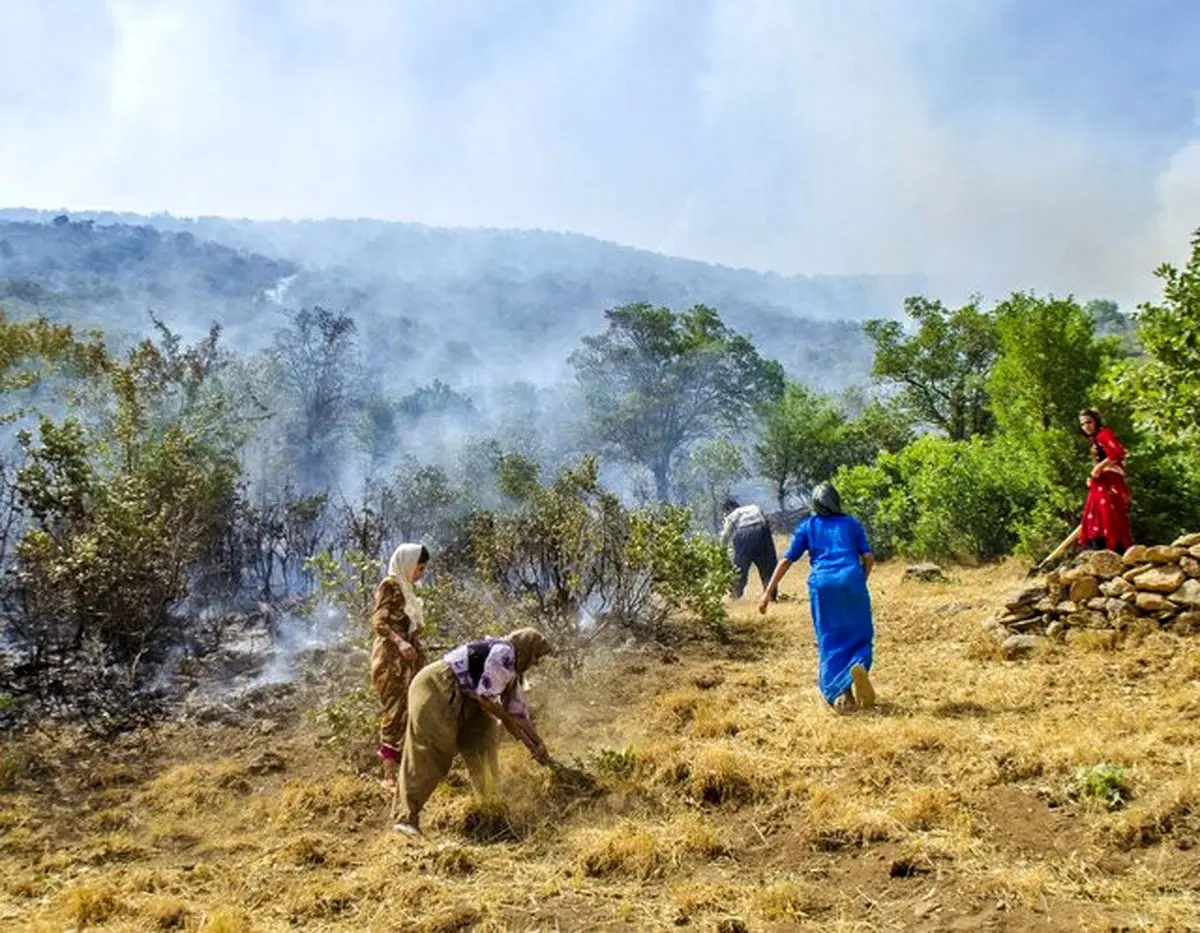 دستگیری ۱۴ عامل آتش سوزی جنگل های مریوان