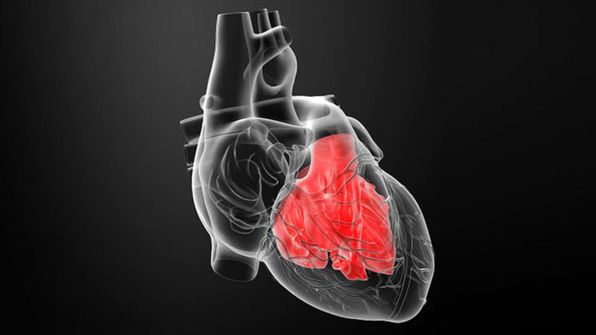 تعداد نرمال ضربان قلب چقدر است؟