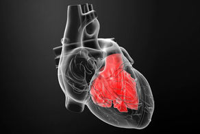 تعداد نرمال ضربان قلب چقدر است؟