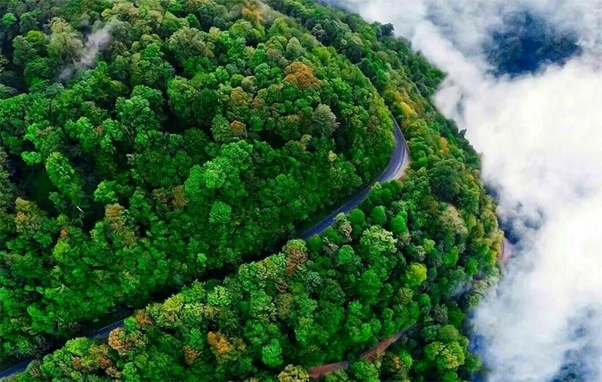 عاشقان آدرنالین بخوانند/ ترسناک‌ترین جاده‌های ایران که یکبار باید بروید