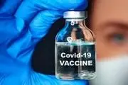 نتایج مطالعه پیش بالینی واکسن برکت به سازمان جهانی بهداشت ارسال شد