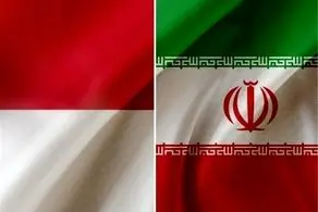 ایران با دولت و ملت اندونزی ابراز همدردی کرد 