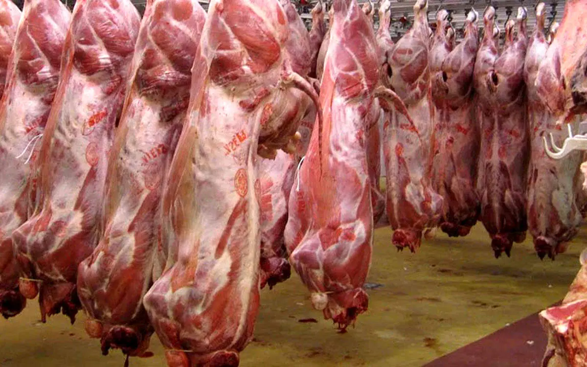  گوشت مرغ، قرمز، برنج و شکر رایگان توزیع شد
