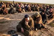 داعشی‌ها بازداشت شدند