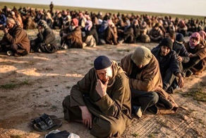 ادعای عجیب طالبان در مورد داعش/ تسلیم شدند