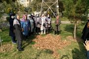 برگزاری جشنواره برگ‌های پاییزی در بوستان‌های منطقه 13