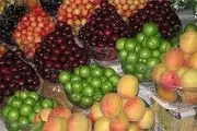  قیمت انواع میوه + لیست قیمت‌ها