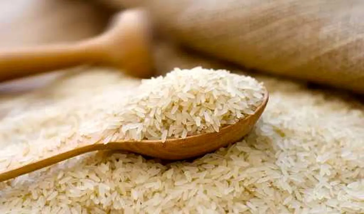 دلیل گرانی برنج ایرانی مشخص شد!/ دلال‌ها در بازار گولاک کردند+ جزییات