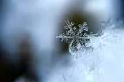 سرمای زمستانی دوباره به تهران می‌آید