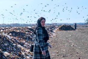 فیلمی خاص در جشنواره 42؛ پای الناز شاکردوست به پرونده آرمان و غزاله باز شد
