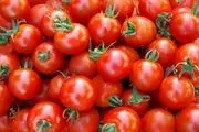 زمان ارزانی قیمت گوجه فرنگی مشخص شد!/ بخوانید