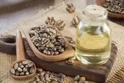 خواص باور نکردنی روغن کرچک