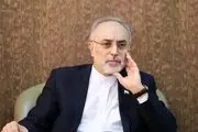 صالحی درباره تهدید ایران از سوی آمریکا: کسی که می‌خواهد کاری کند حرف نمی‌زند