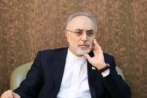 صالحی درباره تهدید ایران از سوی آمریکا: کسی که می‌خواهد کاری کند حرف نمی‌زند