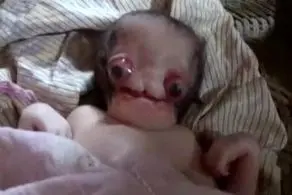 تولد زشت ترین و ترسناک‌ترین نوزاد دنیا!+عکس
