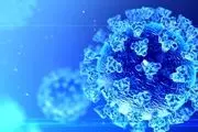 گونه خطرناک ویروس کرونا شناسایی شد/ تعداد جهش‌ها بیش از حد است!