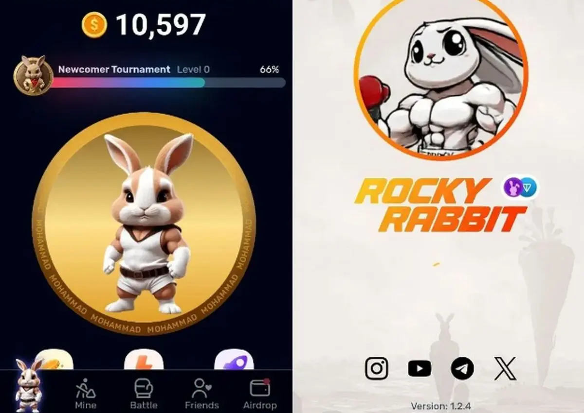 کارت های روزانه راکی رابیت Rocky Rabbit امروز  ۳۰ مرداد / عکس