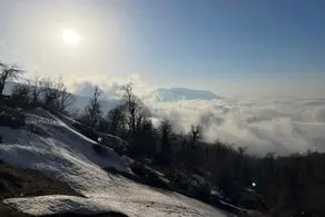 گزارش تصویری| طبیعت زیبای جنگل اولنگ در آغاز بهار