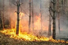 شعله های آتش جنگل‌های خائیز را در برگرفت