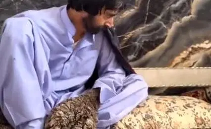 حقایقی از مرد درختی سیستان و بلوچستان/ فیلم 