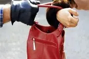جزییات هولناک زورگیری از زبان مادری که در تهران مورد سرقت قرار گرفت!