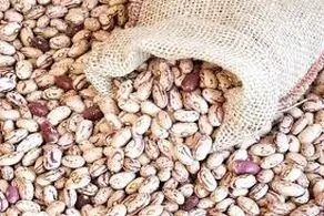 لوبیاچیتی کیلویی ۵۰۰ هزار تومان