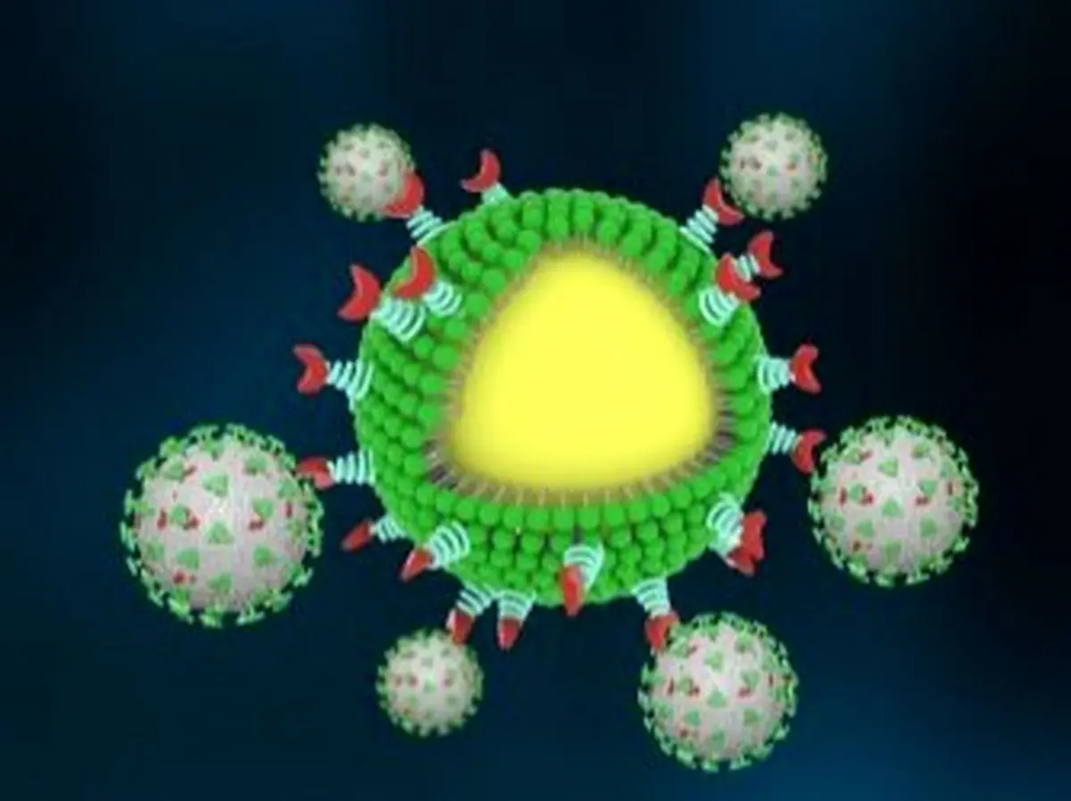کشف مهم دانشمندان درباره ویروس کرونا
