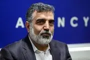 اظهارات مهم سخنگوی سازمان انرژی اتمی درباره ادعای غنی سازی 84 درصدی ایران
