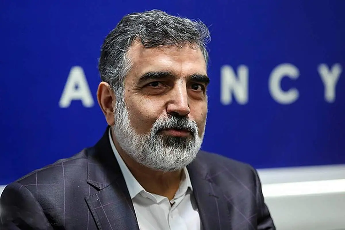 واکنش سخنگوی سازمان انرژی اتمی به اظهارات وزیر خارجه آمریکا