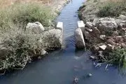 اینجا در بیخ گوش شهر بزرگ تهران  بیماری ها را می‌کارند!/ تصاویر
