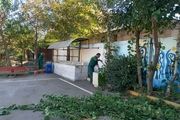 بهبود کیفی و کمی فضای سبز مدارس منطقه ۱۳ در آستانه مهر ۱۴۰۱