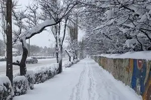 بارش شدید برف یکشنبه‌ تا سه شنبه در این مناطق/ کاهش دما و سرما در 29 استان