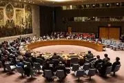 واکنش فوری شورای امنیت به درخواست چین