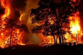 جدیدترین خبرها از آتش سوزی جنگل ها و مراتع گچساران