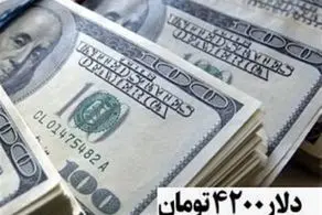 حذف ارز 4200 تومانی جدی‌تر شد؟