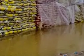 احتمال از بین رفتن ۳۰۰ تن برنج‌ باران‌زده/گمرک به وزارت صمت نامه زد