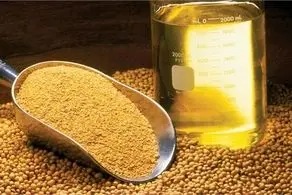 منتظر ارزانی روغن در این تاریخ باشید