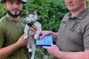 گربه‌ها هم به خط مقدم جنگ در اوکراین اعزام شدند!+ تصویر