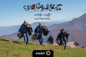 مگه تموم عمر چند تا بهاره؟