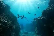 حقایقی جالب درباره اقیانوس آرام که نمی‌دانید
