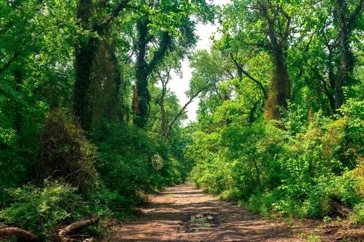 روستایی بیخ گوش تهران که ورود زنان به آن ممنوع است!