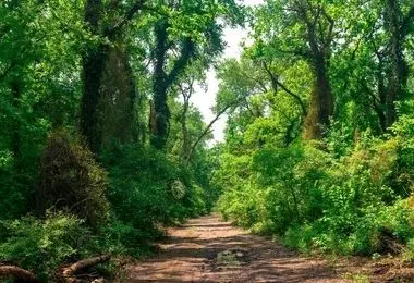 روستایی بیخ گوش تهران که ورود زنان به آن ممنوع است!