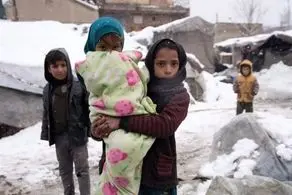 جدیدترین اخبار از کارت هویت اتباغ افغان